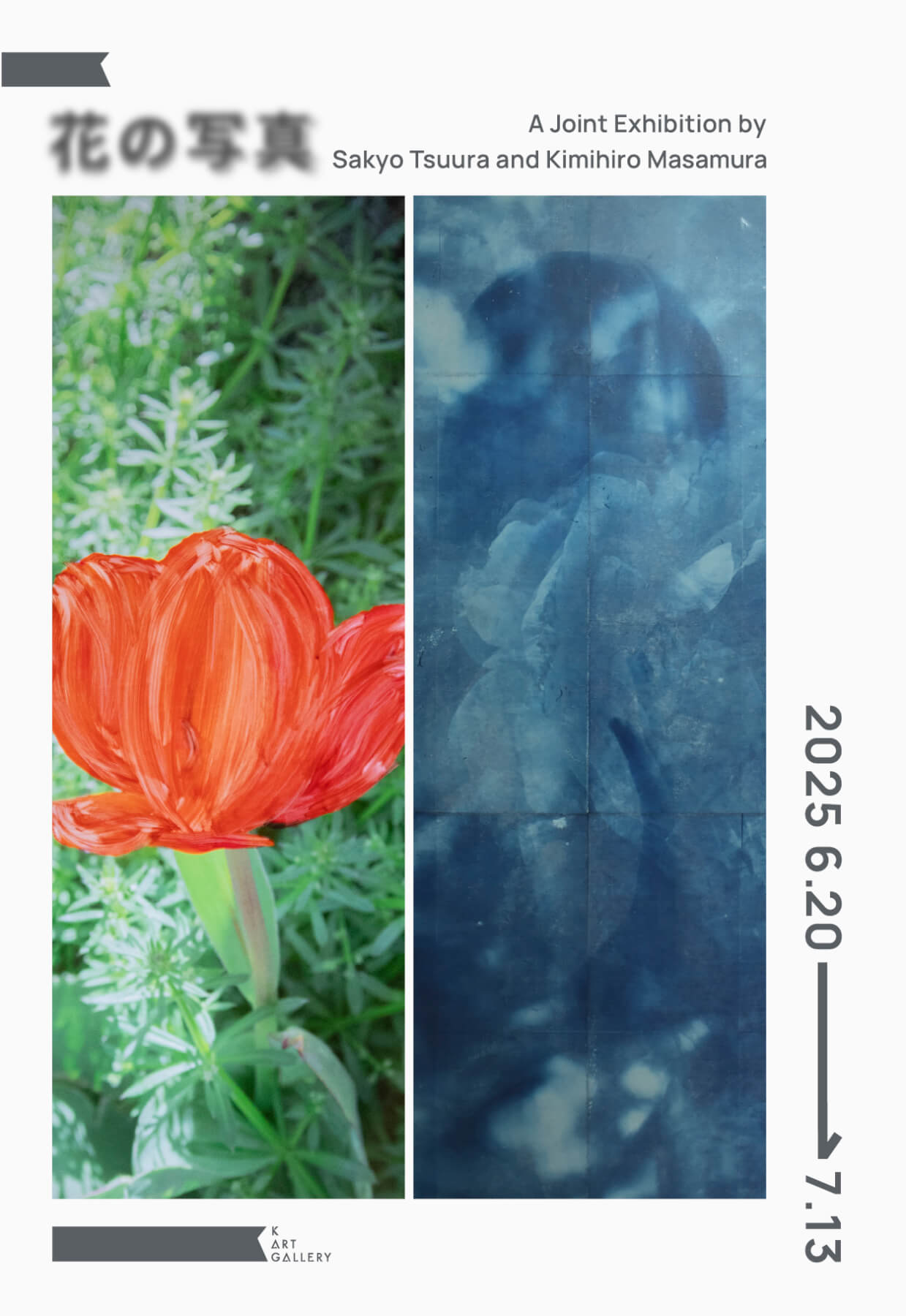 花の写真